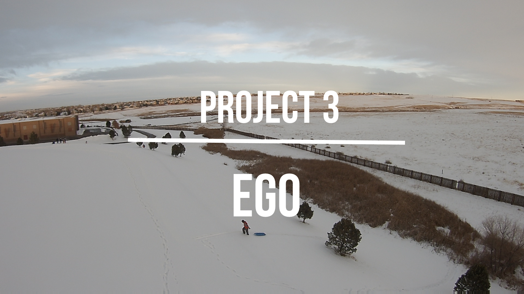 2D Project – EGO